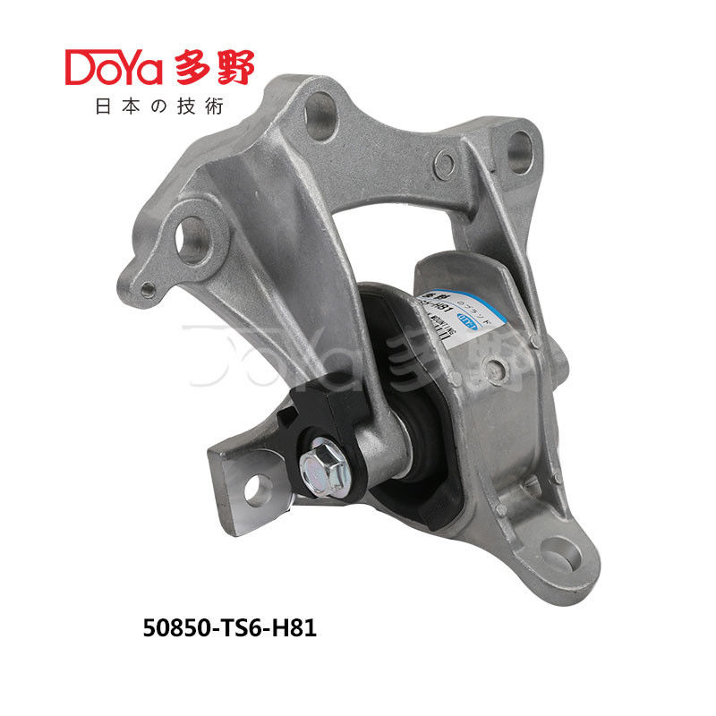 50850-TS6-H81